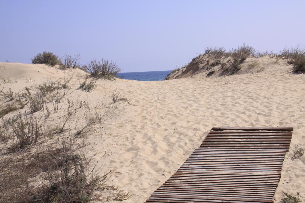 Golden Dunes *
